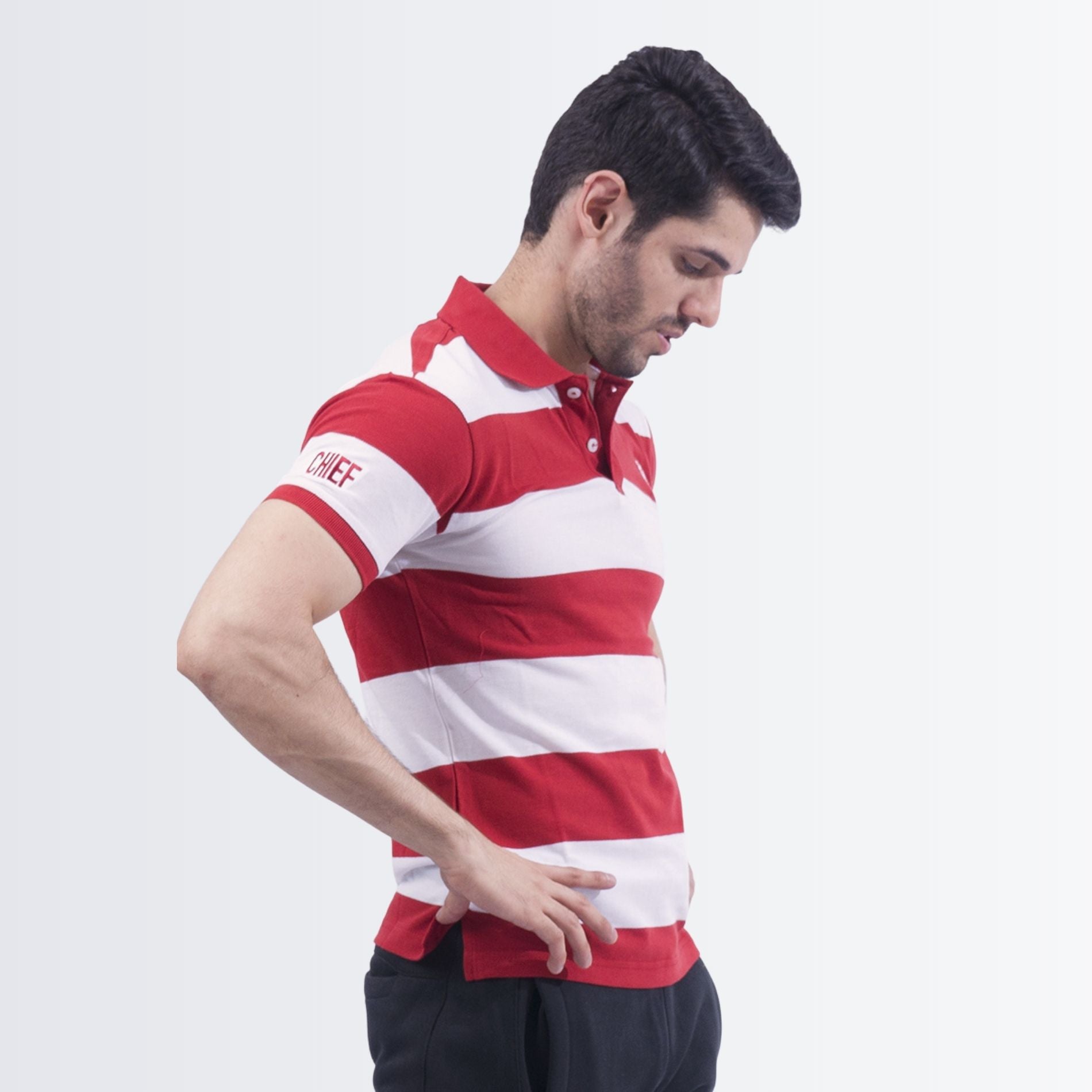 Wide Stripe Polo Shirt