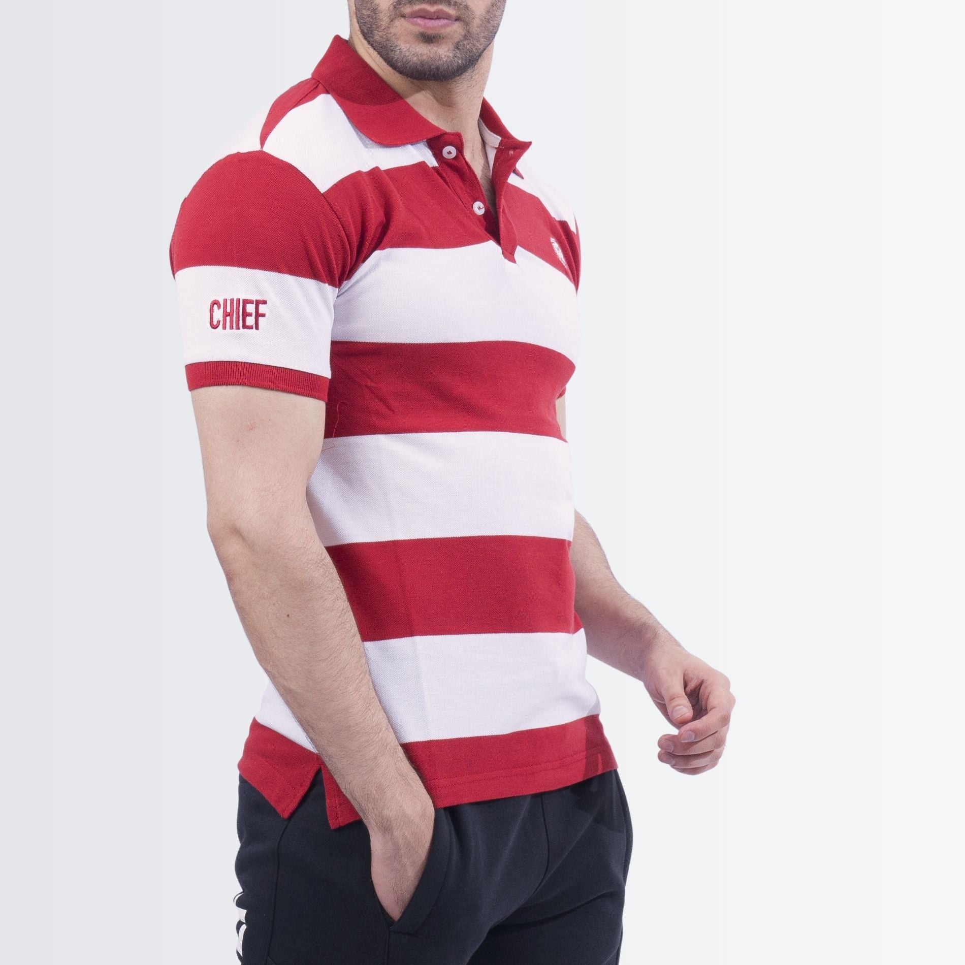 Wide Stripe Polo Shirt