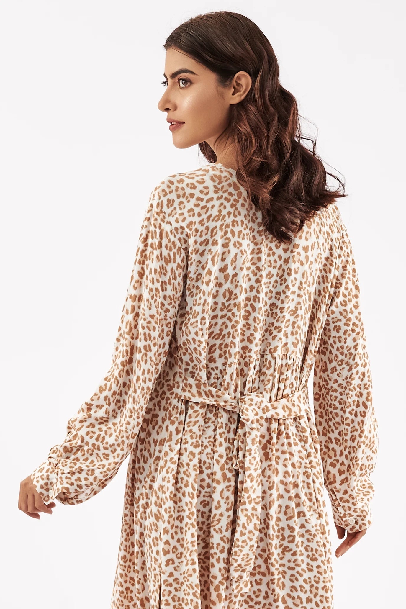 Women's Leopard Print V Neck Dress