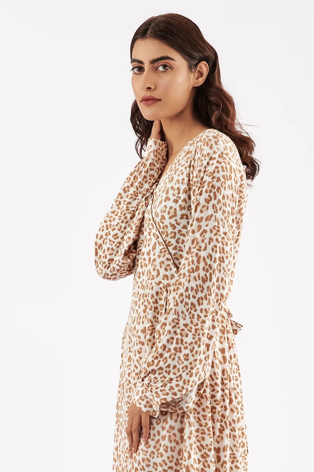 Women's Leopard Print V Neck Dress