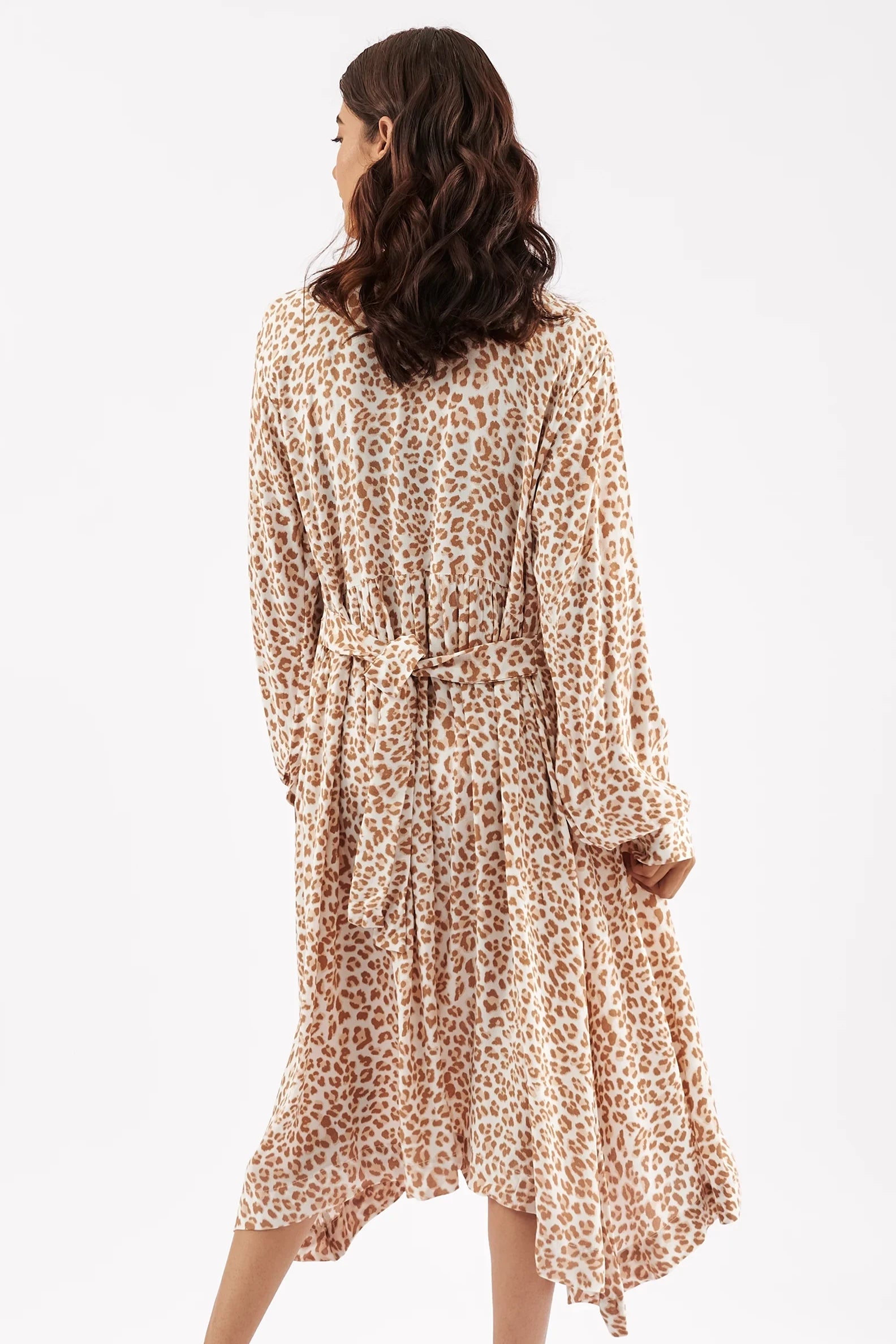 Women's Leopard Print V Neck Dress